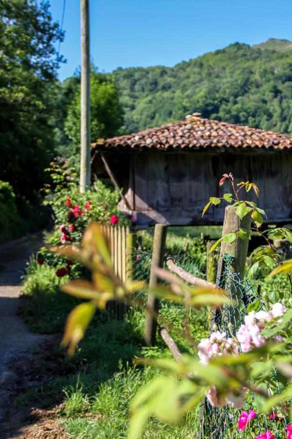 Villa Casa Clarita Caño Exterior foto